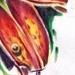Art Galleries - flower study - 47800